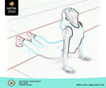7 - Surya namaskara: la salutaion au soleil. Le cobra