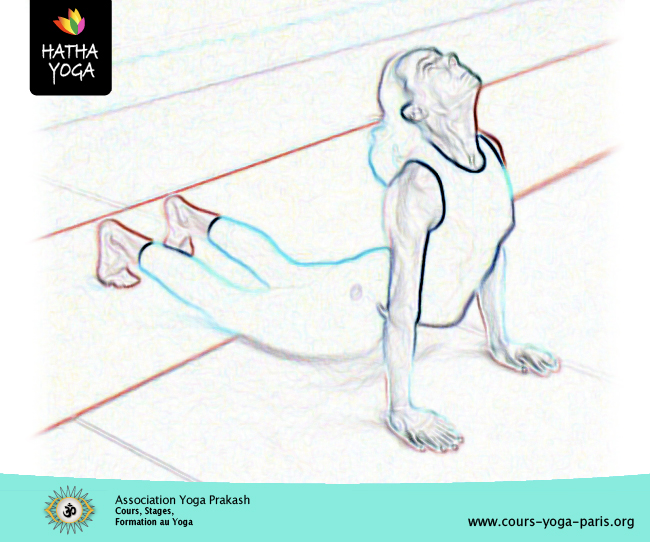 7 - Surya namaskara: la salutaion au soleil. Le cobra